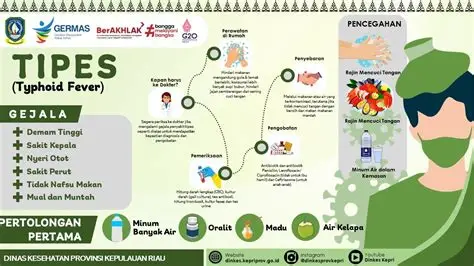 Penyakit Tipes: Penyebab, Gejala, dan Cara Mencegahnya